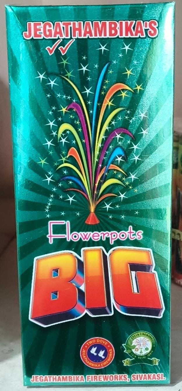 Flower Pot's Big